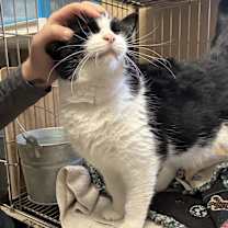 Thumbnail photo of Lydia #3