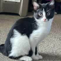 Thumbnail photo of Heidi #2