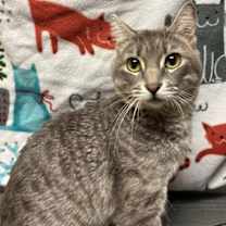 Thumbnail photo of Whimsy #1