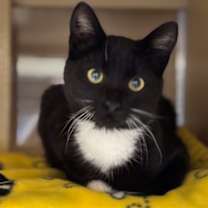 Thumbnail photo of Bootzee #2