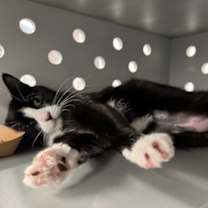 Thumbnail photo of Fay #4