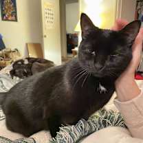 Thumbnail photo of Annie #3