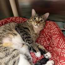 Thumbnail photo of Mavi  #3