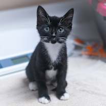 Thumbnail photo of Becca #1