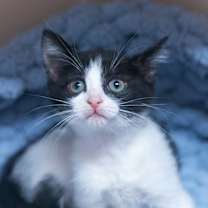 Thumbnail photo of Beauty #2