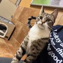 Thumbnail photo of Baby Ray #2