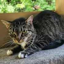 Thumbnail photo of Doodle #2