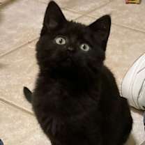 Thumbnail photo of GABBY #2