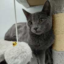 Thumbnail photo of Leek #3