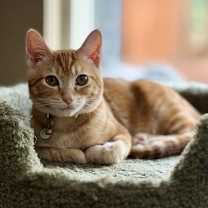 Thumbnail photo of Alani #2