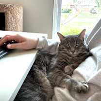 Thumbnail photo of Sylvia #3