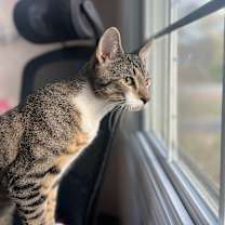 Thumbnail photo of George and Louis #3