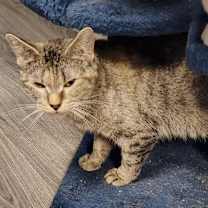 Thumbnail photo of Joanna #3