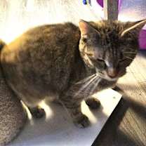 Thumbnail photo of Joanna #4