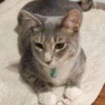 Thumbnail photo of Micah #1