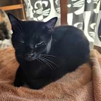 Thumbnail photo of Spot #4