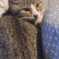 Thumbnail photo of Fred #4