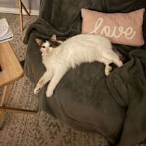 Thumbnail photo of Tom #3