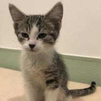 Thumbnail photo of Tia #2