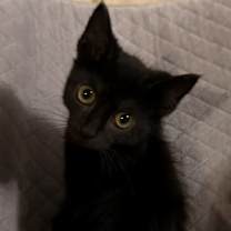 Thumbnail photo of Monica #1