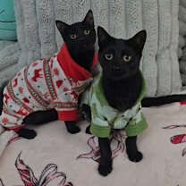 Thumbnail photo of Mike #3