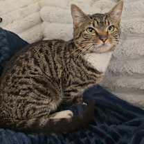 Thumbnail photo of Chloe #3