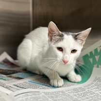 Thumbnail photo of Burger #3