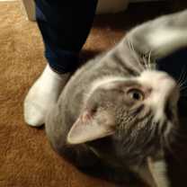 Thumbnail photo of Babe #2