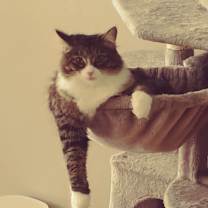 Thumbnail photo of Laia #3