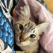 Thumbnail photo of Sparkle #2