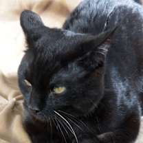 Thumbnail photo of Keith #3