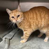 Thumbnail photo of Maria Hill #3