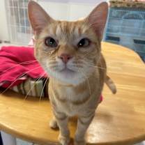 Thumbnail photo of Maria Hill #4