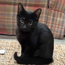 Thumbnail photo of Rachel #3