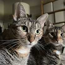 Thumbnail photo of Peat & Smudge #1