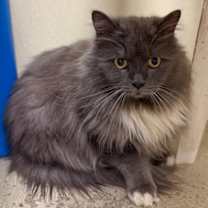 Thumbnail photo of Philippe #1