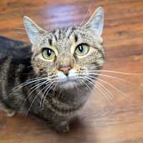 Thumbnail photo of Freyja #1