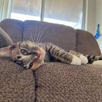 Thumbnail photo of Roosevelt #3