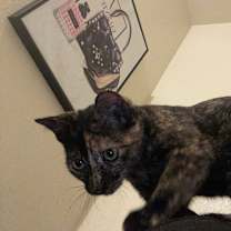 Thumbnail photo of Mila #2