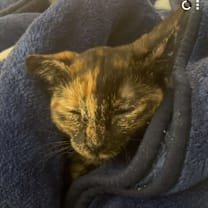 Thumbnail photo of Mila #3