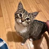 Thumbnail photo of Holly #3