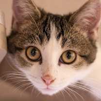 Thumbnail photo of Space Girl #1