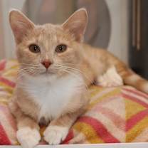 Thumbnail photo of Shay-La #2