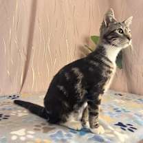 Thumbnail photo of Rum #3