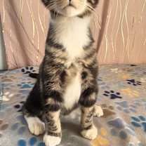 Thumbnail photo of Rum #4