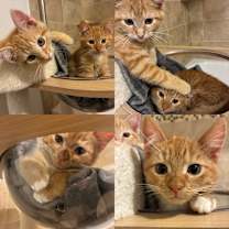 Thumbnail photo of Andy #2