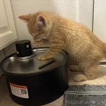 Thumbnail photo of Andy #4