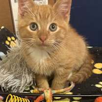 Thumbnail photo of Arthur #4