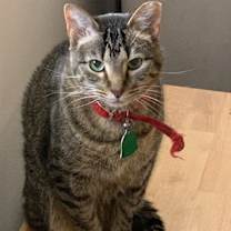 Thumbnail photo of Buster and Madi #2