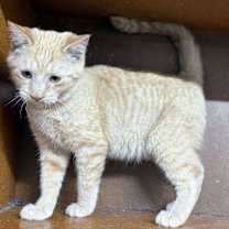 Thumbnail photo of Harrison #3